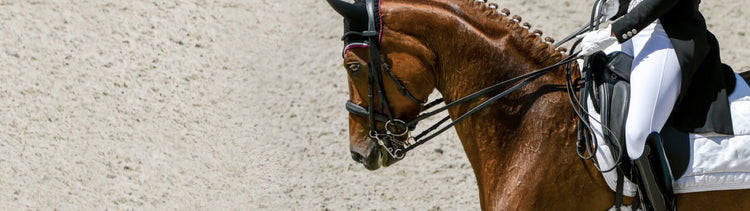 Dressage Saddles