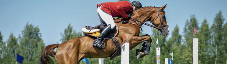 Jumping Saddles