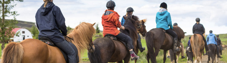 Pony Saddles