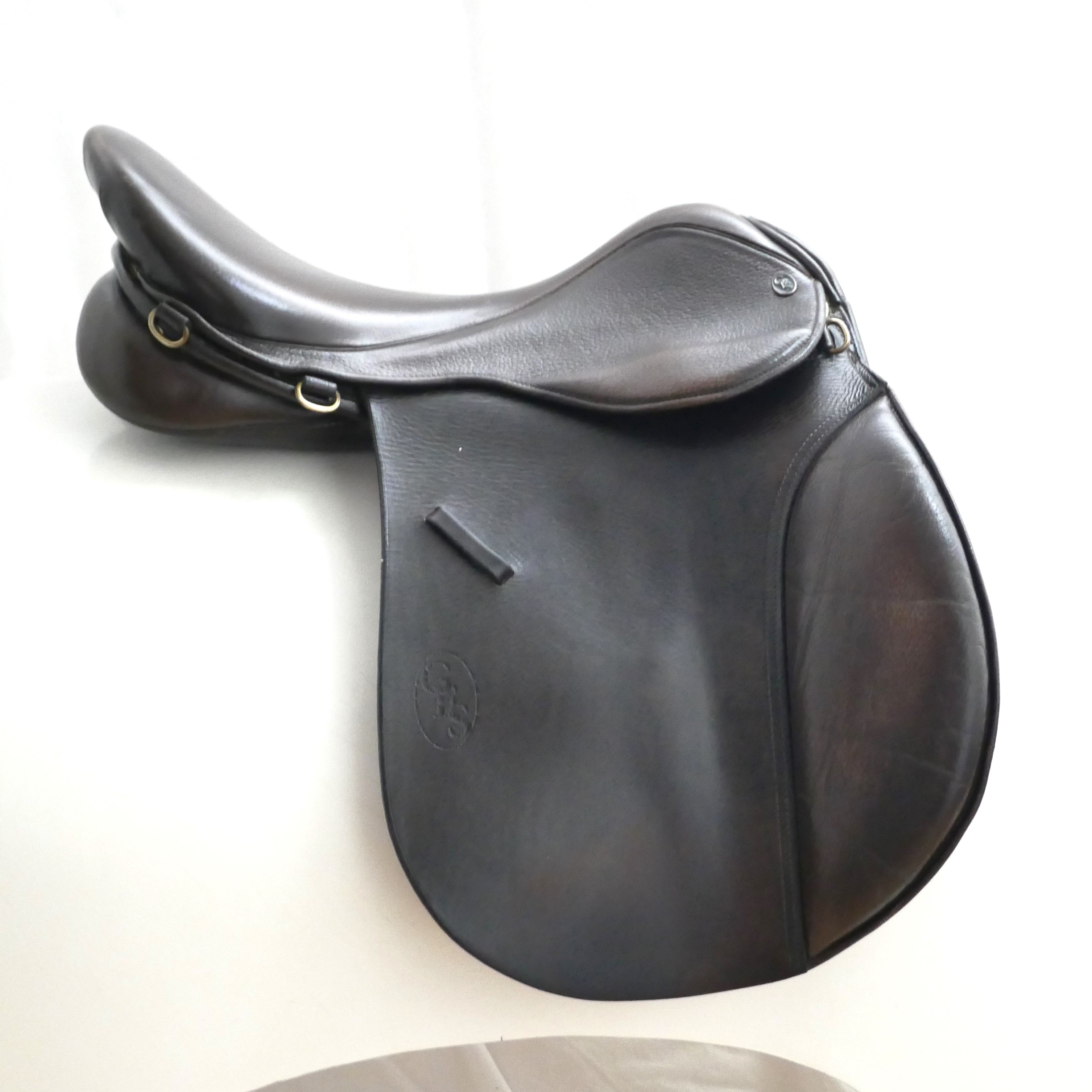 Selle Français Gelding 6 years 16 hh Black in saint lo